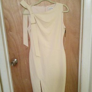 Calvin Klein Dress ...size 8...NWT